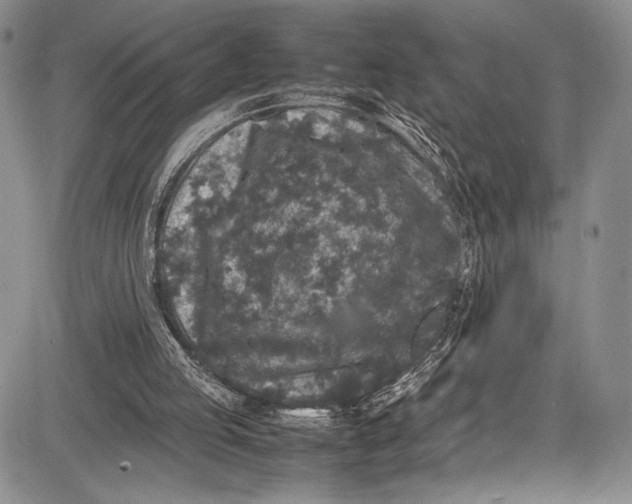 X0000081610053200702051404