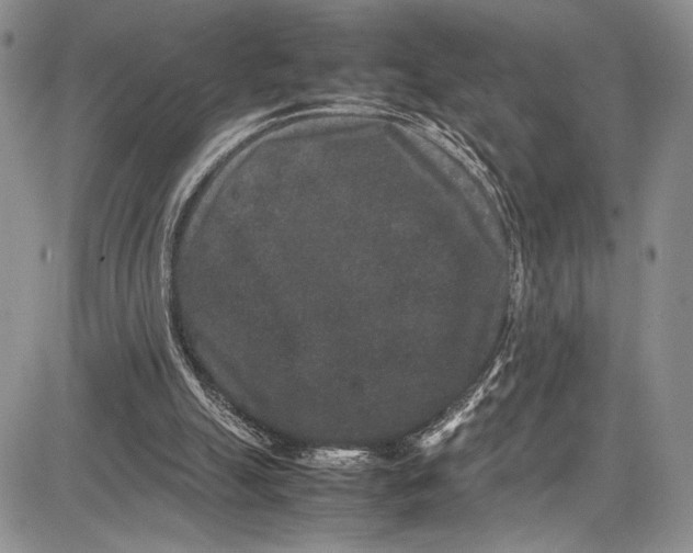 X0000081610055200702051404