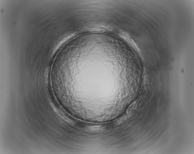 X0000081610058200702051404