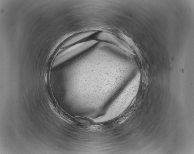 X0000081610060200702051404