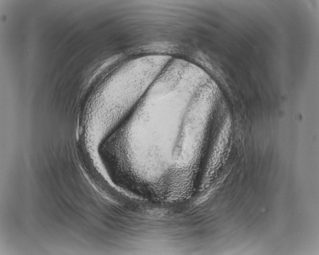 X0000081610062200702051404