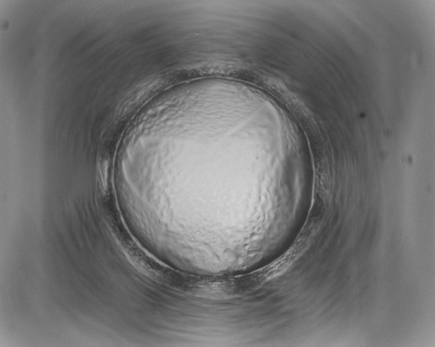 X0000081610070200702051405