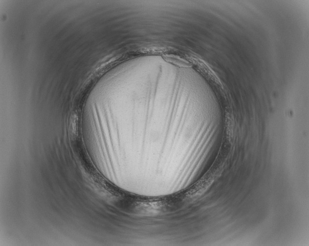 X0000081610071200702051405