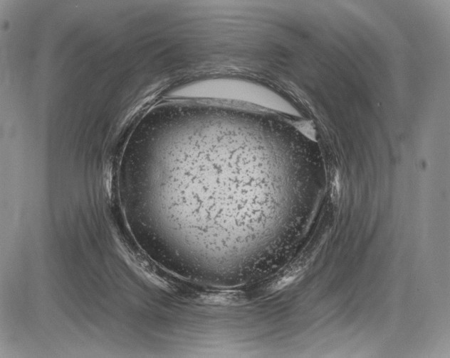 X0000081610072200702051405