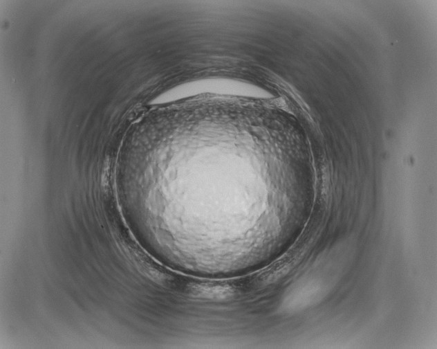 X0000081610073200702051405