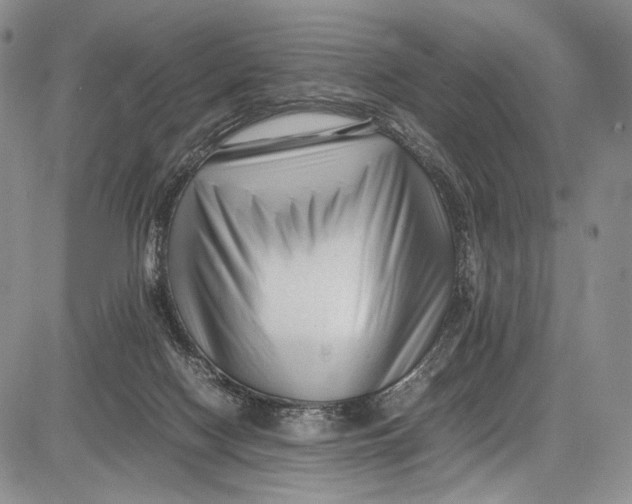 X0000081610074200702051405