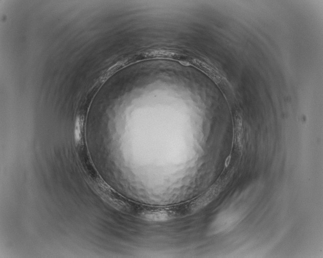 X0000081610075200702051405