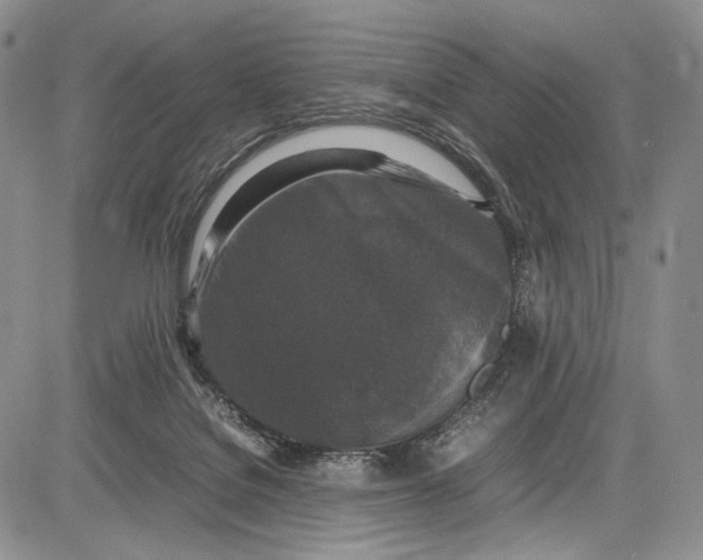 X0000081610076200702051405