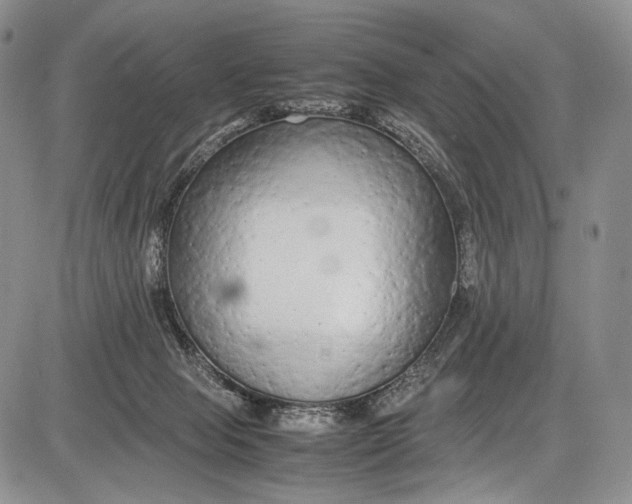 X0000081610077200702051405