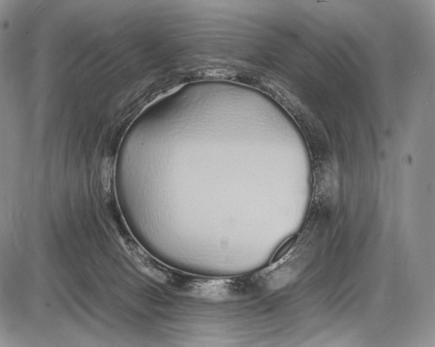 X0000081610078200702051405