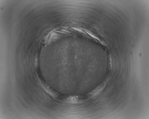 X0000081610080200702051405