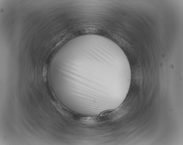 X0000081610082200702051405