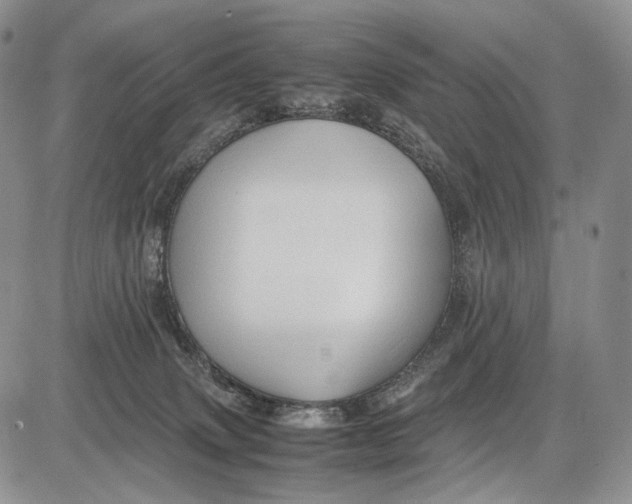 X0000081610083200702051405