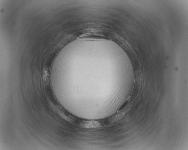 X0000081610087200702051405