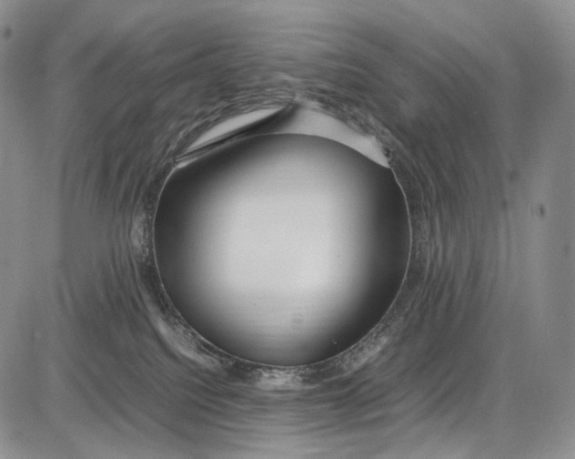 X0000081610088200702051405