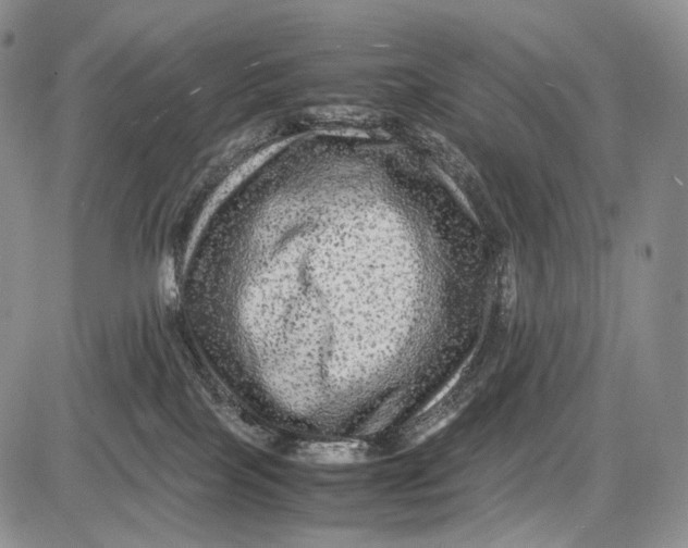 X0000081610089200702051405