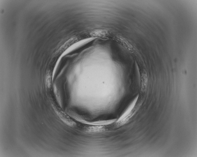 X0000081610090200702051405