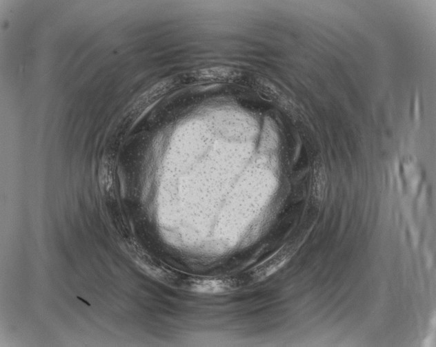 X0000081610091200702051405