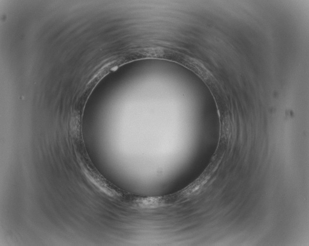 X0000081610092200702051405