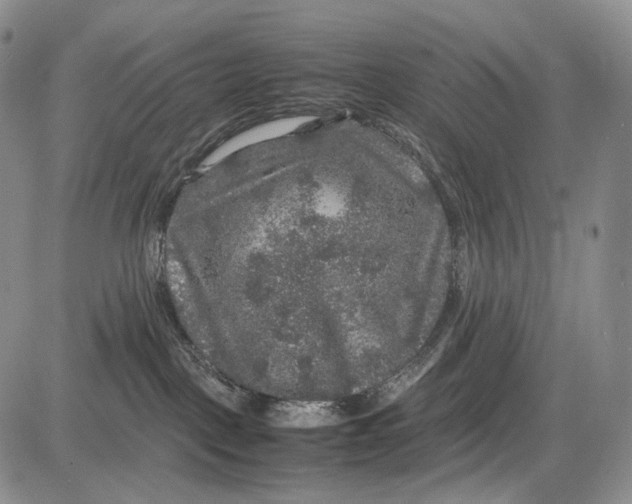 X0000081610093200702051405