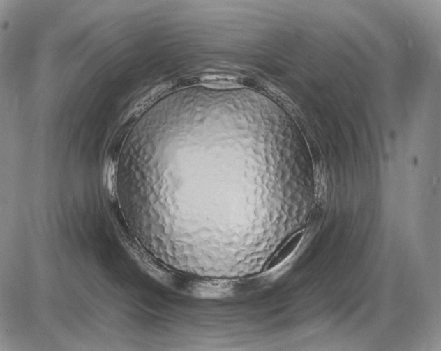 X0000081610094200702051405