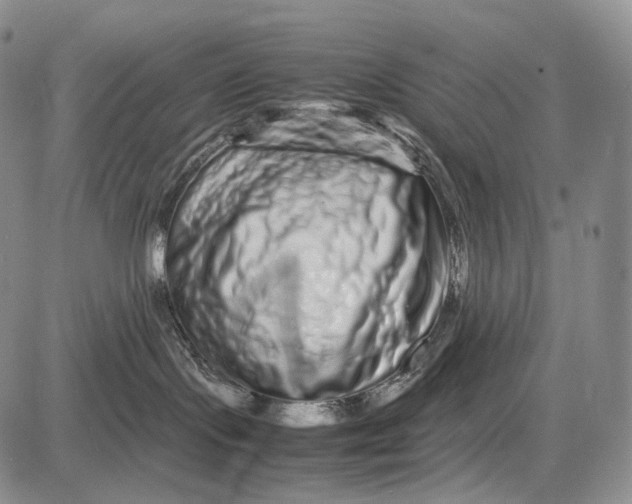 X0000081610095200702051405