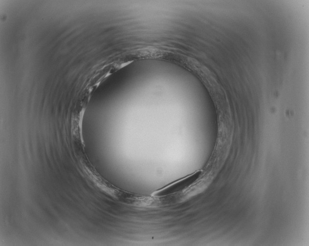 X0000081610096200702051405