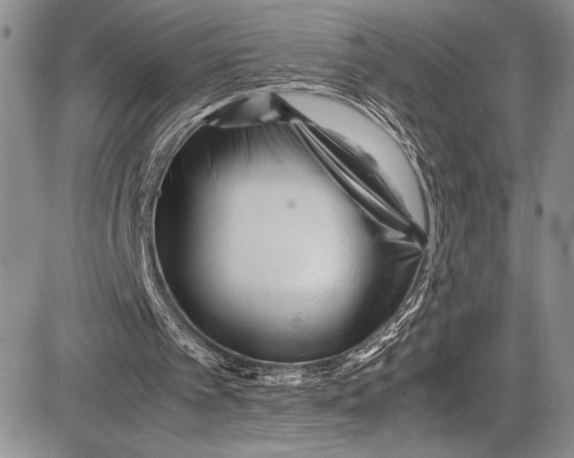 X0000081610097200702051404