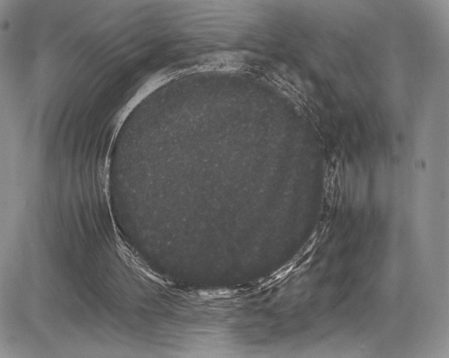 X0000081610100200702051404