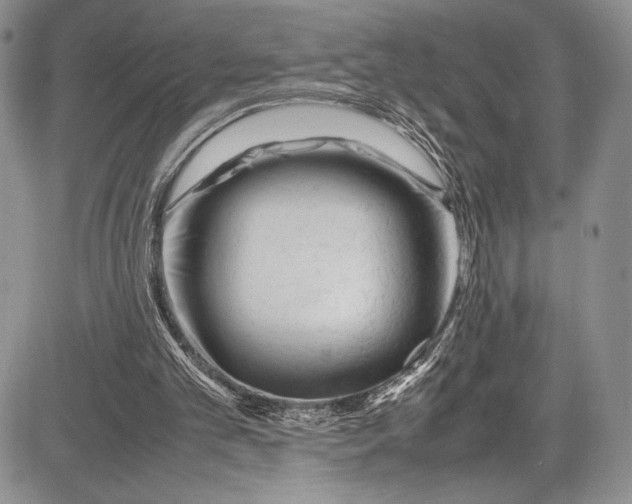 X0000081610101200702051404