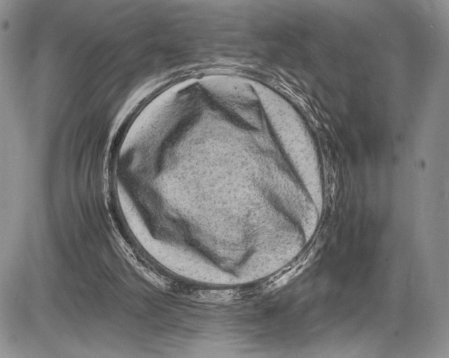 X0000081610102200702051404