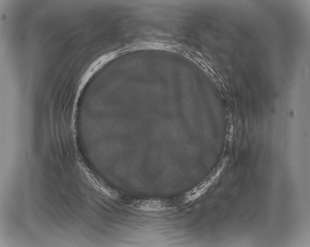 X0000081610104200702051404