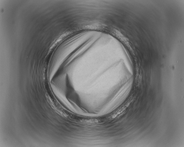 X0000081610106200702051404