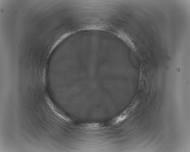 X0000081610108200702051404