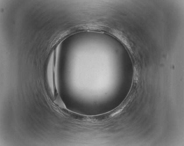 X0000081610109200702051404