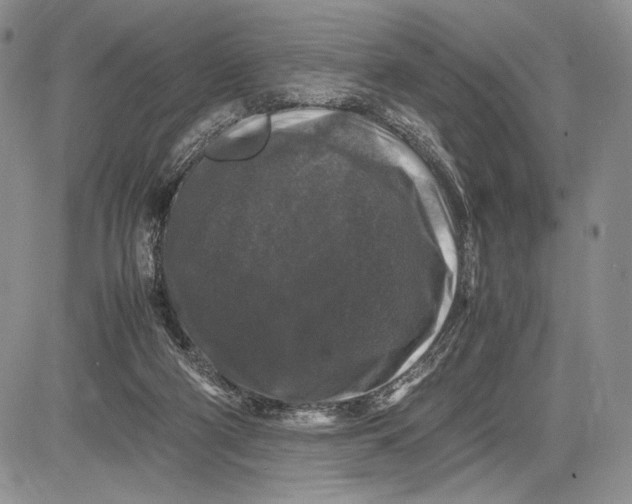 X0000081610114200702051404