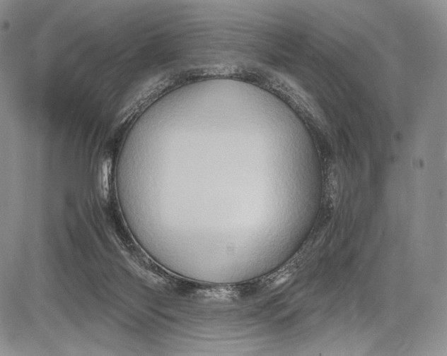 X0000081610118200702051404