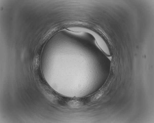 X0000081610119200702051404