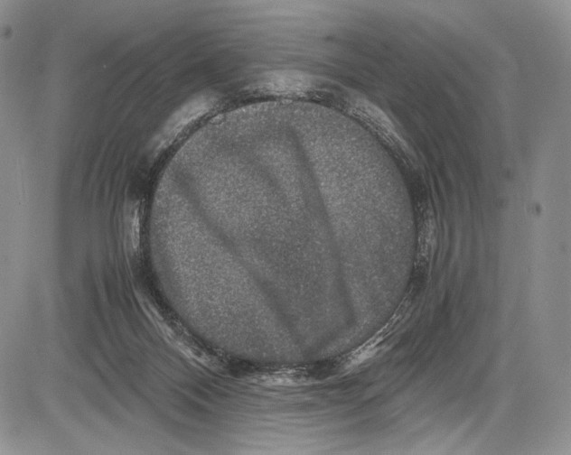 X0000081610120200702051404