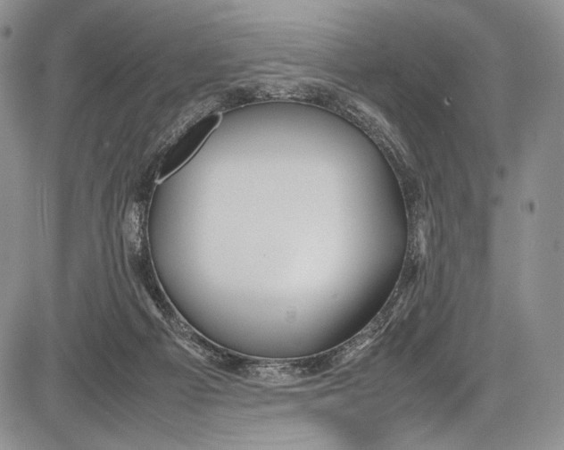 X0000081610121200702051404