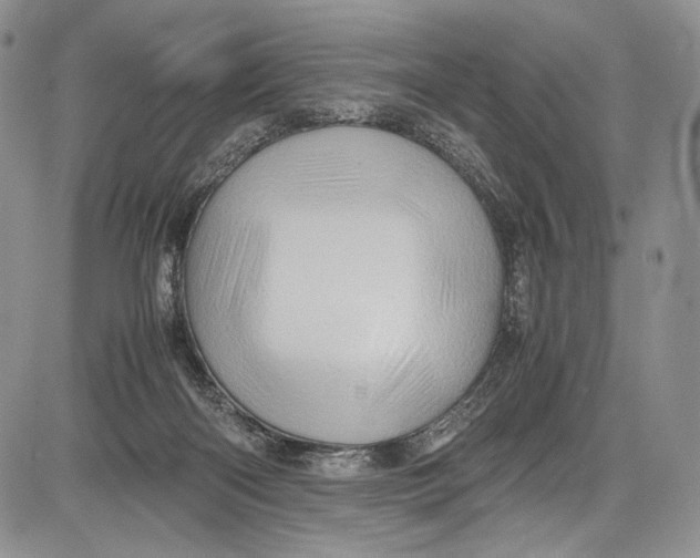 X0000081610122200702051404