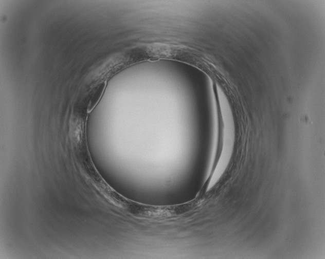 X0000081610125200702051404