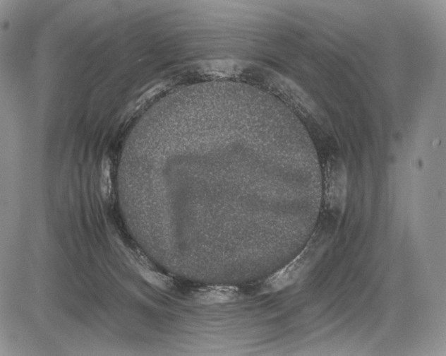 X0000081610128200702051404