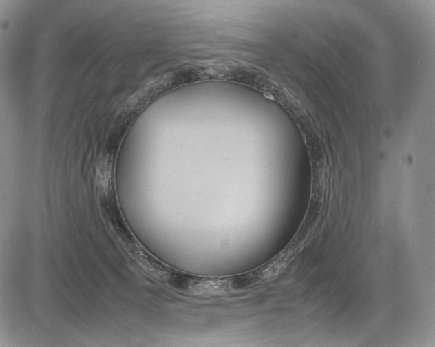 X0000081610129200702051404