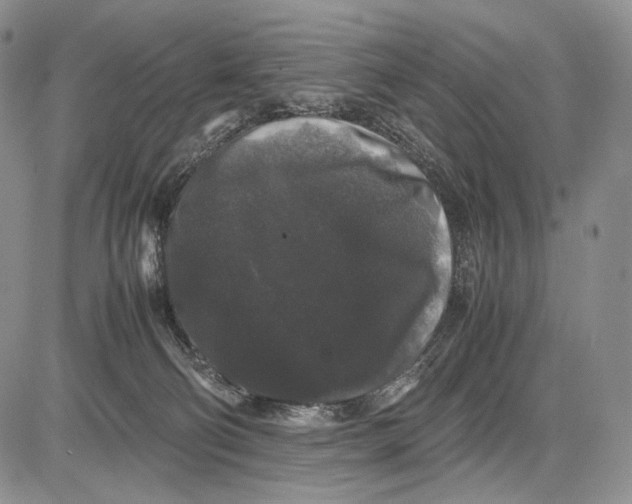 X0000081610130200702051404