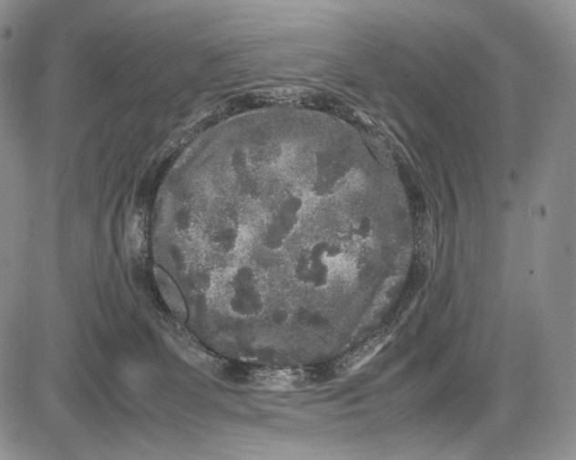 X0000081610131200702051404