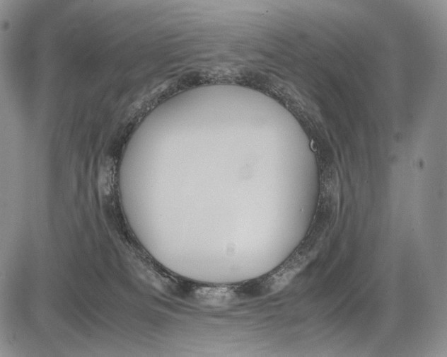 X0000081610133200702051404