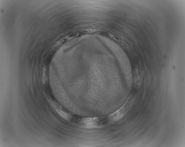 X0000081610136200702051404