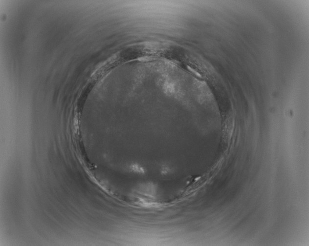 X0000081610137200702051404