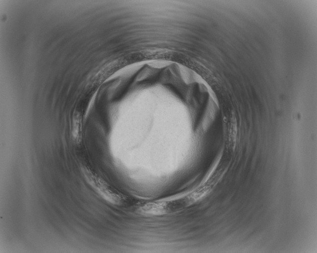 X0000081610138200702051404